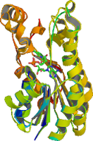 Aminoacids 3d structure