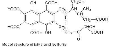 Model Structure Fulvic Acid
